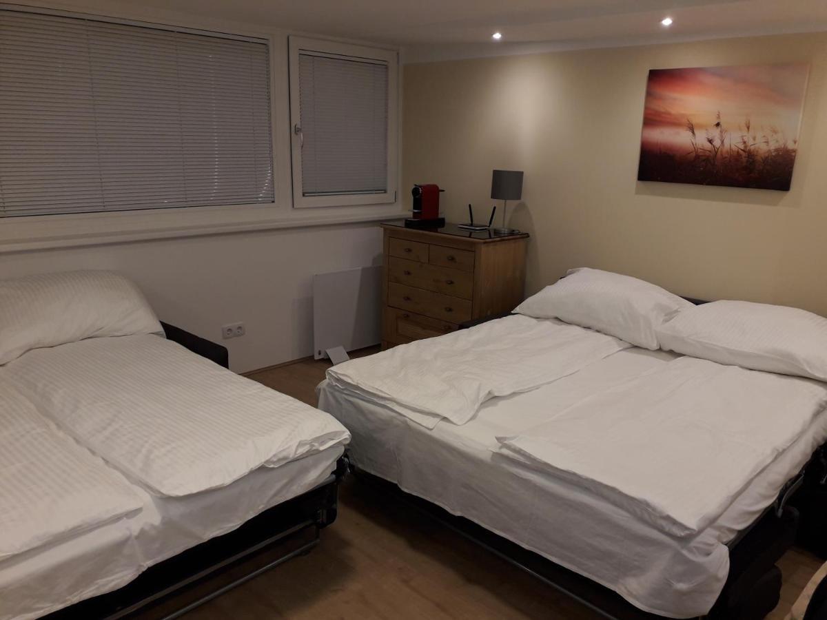 Cosy Flat In The Quiet Area With Own Garden, Free Parking And Direct Public Transport Link To The Centre Vienna Exterior photo